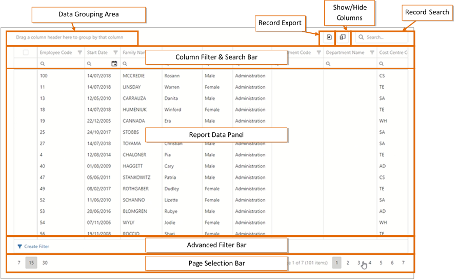 Advanced Reporting Dataset View